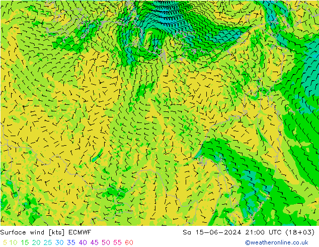 Rüzgar 10 m ECMWF Cts 15.06.2024 21 UTC
