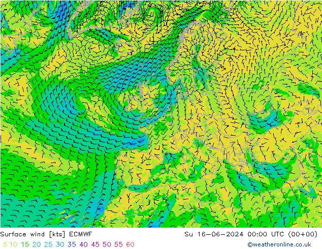 风 10 米 ECMWF 星期日 16.06.2024 00 UTC