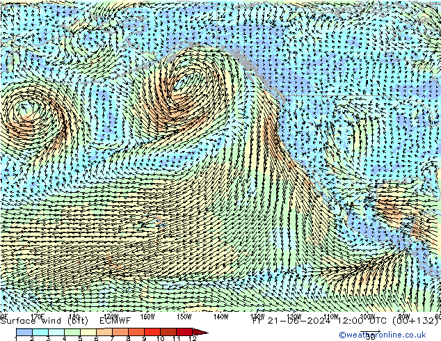 Wind 10 m (bft) ECMWF vr 21.06.2024 12 UTC