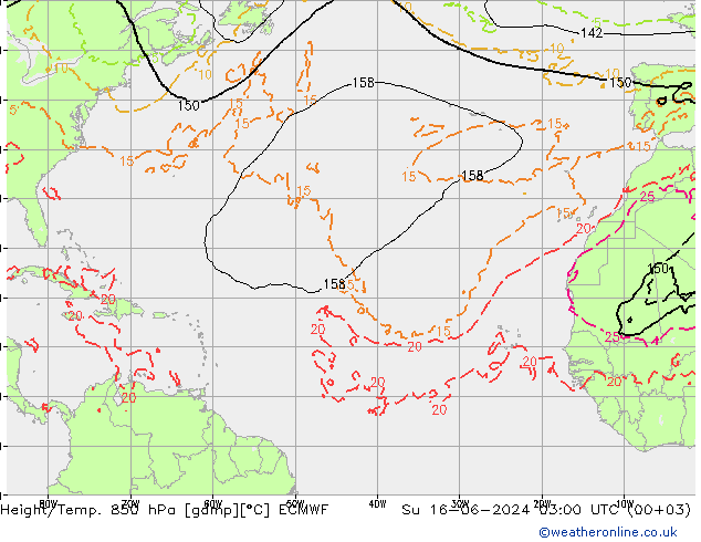 Geop./Temp. 850 hPa ECMWF dom 16.06.2024 03 UTC