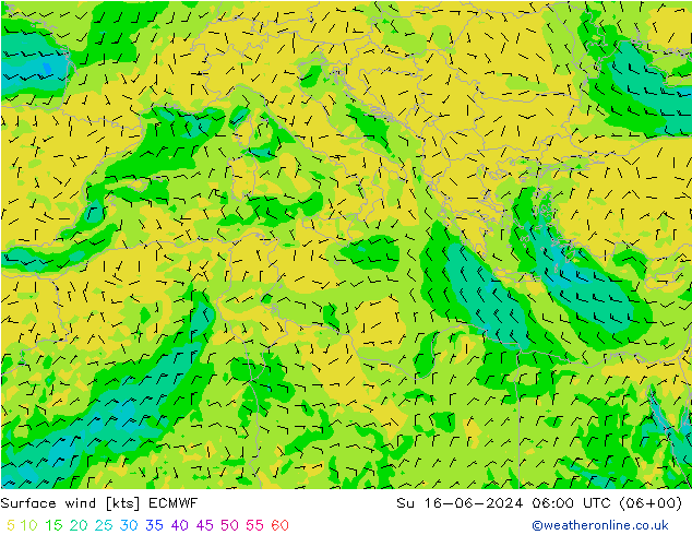 Surface wind ECMWF Su 16.06.2024 06 UTC