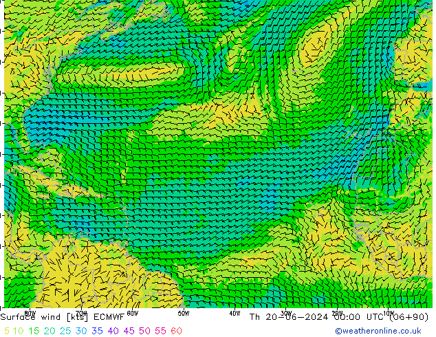 Surface wind ECMWF Th 20.06.2024 00 UTC