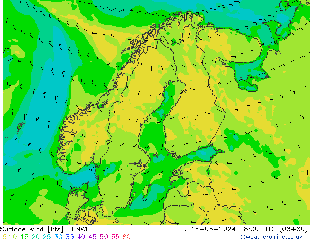 Surface wind ECMWF Tu 18.06.2024 18 UTC