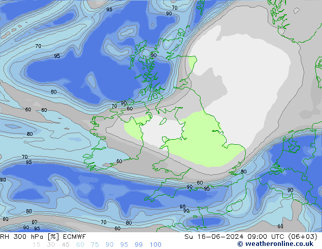 Humidité rel. 300 hPa ECMWF dim 16.06.2024 09 UTC