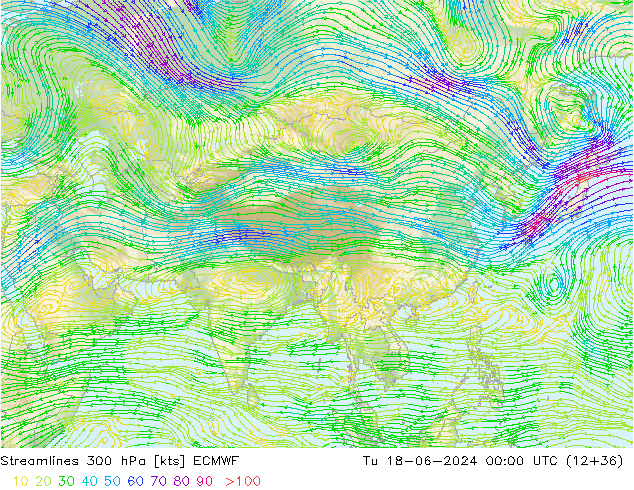 Ligne de courant 300 hPa ECMWF mar 18.06.2024 00 UTC