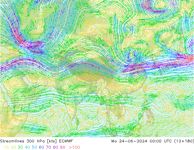 Rüzgar 300 hPa ECMWF Pzt 24.06.2024 00 UTC