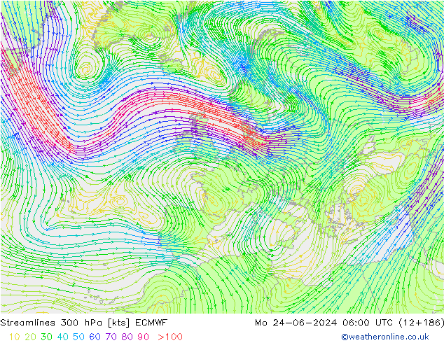 ветер 300 гПа ECMWF пн 24.06.2024 06 UTC