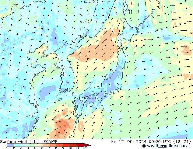 Surface wind (bft) ECMWF Mo 17.06.2024 09 UTC