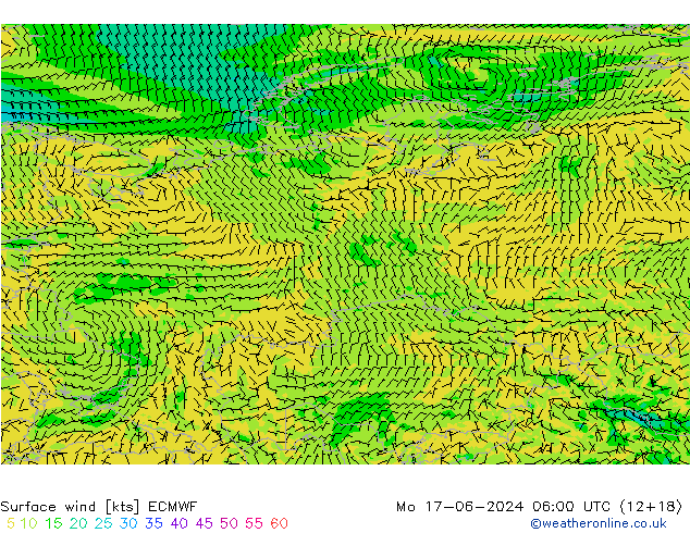 ветер 10 m ECMWF пн 17.06.2024 06 UTC