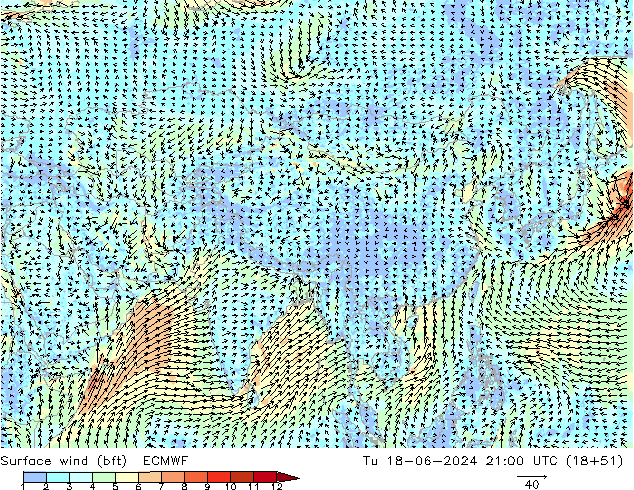Wind 10 m (bft) ECMWF di 18.06.2024 21 UTC