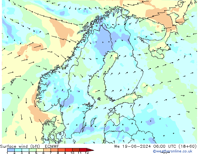 Surface wind (bft) ECMWF We 19.06.2024 06 UTC
