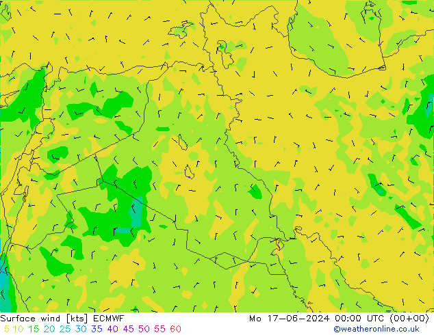  10 m ECMWF  17.06.2024 00 UTC