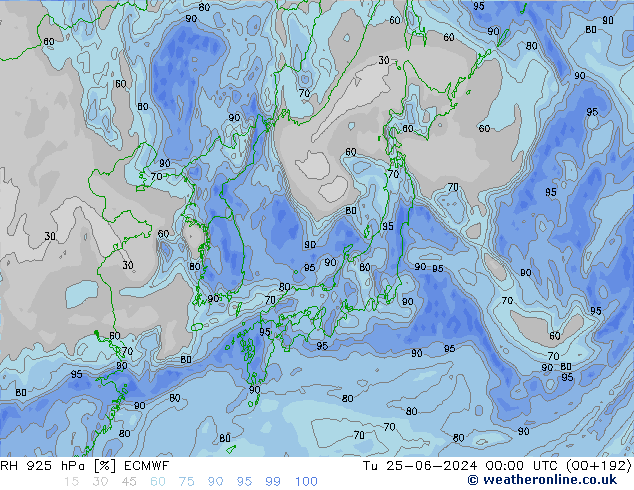 Humidité rel. 925 hPa ECMWF mar 25.06.2024 00 UTC