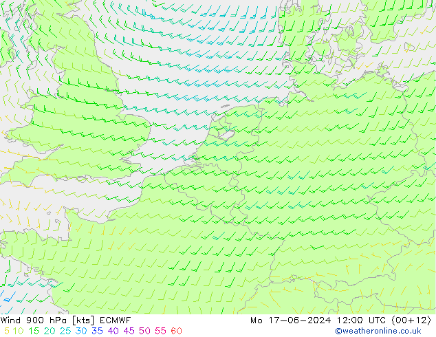 wiatr 900 hPa ECMWF pon. 17.06.2024 12 UTC