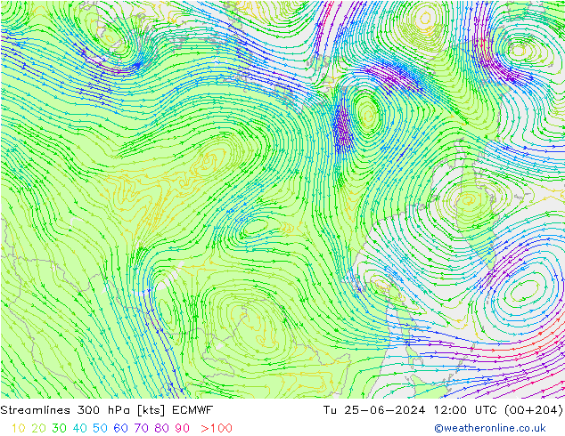 Línea de corriente 300 hPa ECMWF mar 25.06.2024 12 UTC