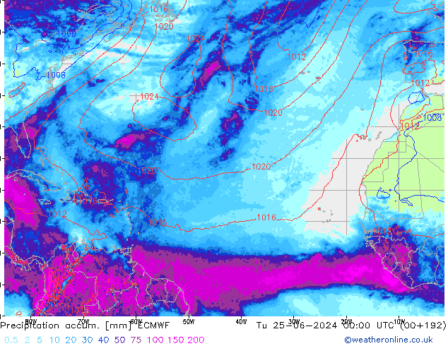 Precipitation accum. ECMWF Tu 25.06.2024 00 UTC