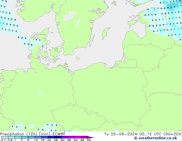 Yağış (12h) ECMWF Sa 25.06.2024 12 UTC