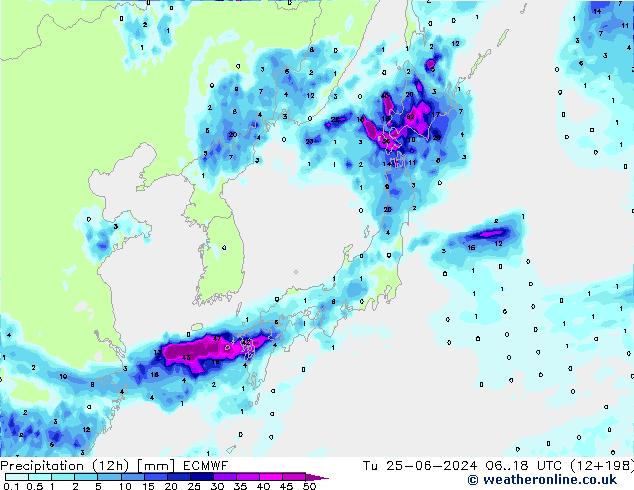 Precipitação (12h) ECMWF Ter 25.06.2024 18 UTC