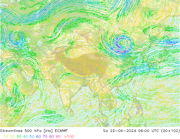 Streamlines 500 hPa ECMWF So 22.06.2024 06 UTC