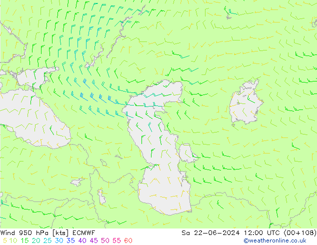 Wind 950 hPa ECMWF Sa 22.06.2024 12 UTC