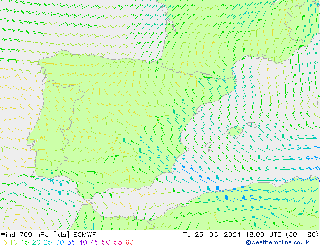 Wind 700 hPa ECMWF di 25.06.2024 18 UTC