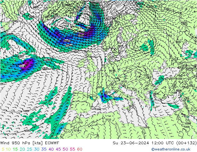 Wind 950 hPa ECMWF Su 23.06.2024 12 UTC