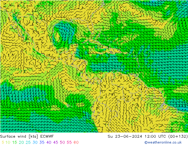 Wind 10 m ECMWF zo 23.06.2024 12 UTC