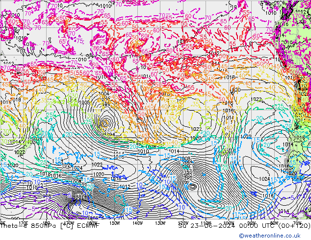 Theta-e 850hPa ECMWF dom 23.06.2024 00 UTC