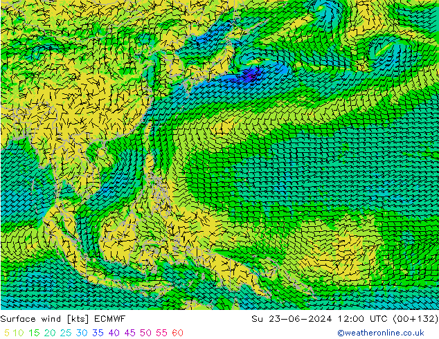 Wind 10 m ECMWF zo 23.06.2024 12 UTC