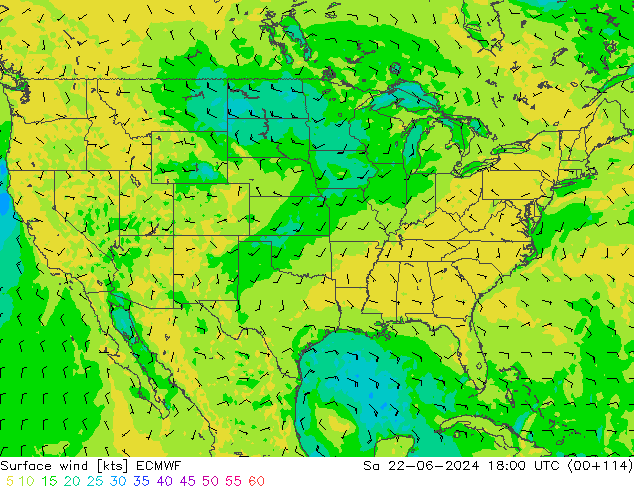 Viento 10 m ECMWF sáb 22.06.2024 18 UTC