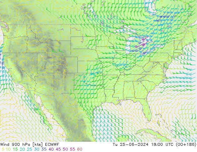 Vento 900 hPa ECMWF mar 25.06.2024 18 UTC