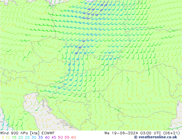 Wind 900 hPa ECMWF wo 19.06.2024 03 UTC