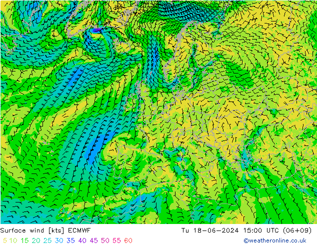 Surface wind ECMWF Tu 18.06.2024 15 UTC