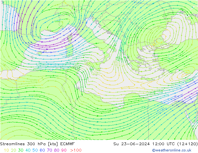  300 hPa ECMWF  23.06.2024 12 UTC