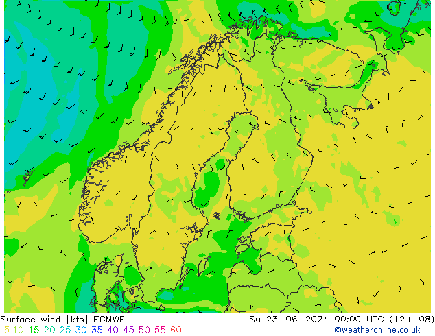 Vento 10 m ECMWF dom 23.06.2024 00 UTC