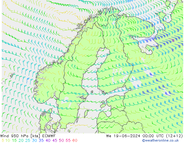 Wind 950 hPa ECMWF Mi 19.06.2024 00 UTC