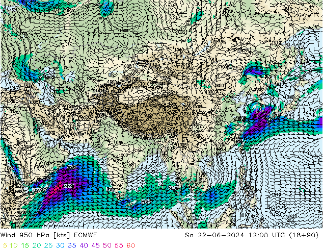 Wind 950 hPa ECMWF Sa 22.06.2024 12 UTC