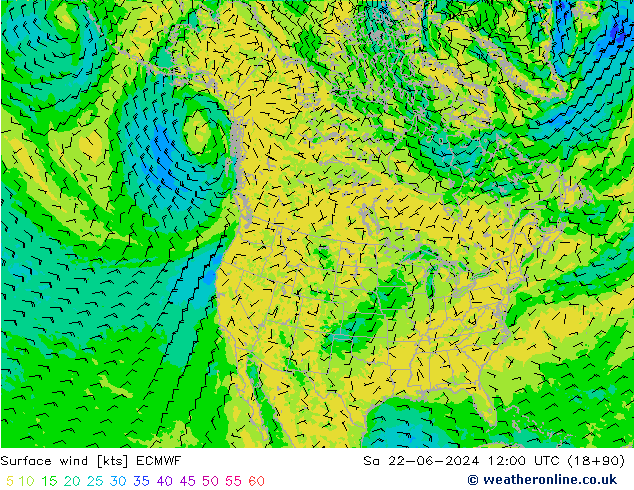 Surface wind ECMWF So 22.06.2024 12 UTC