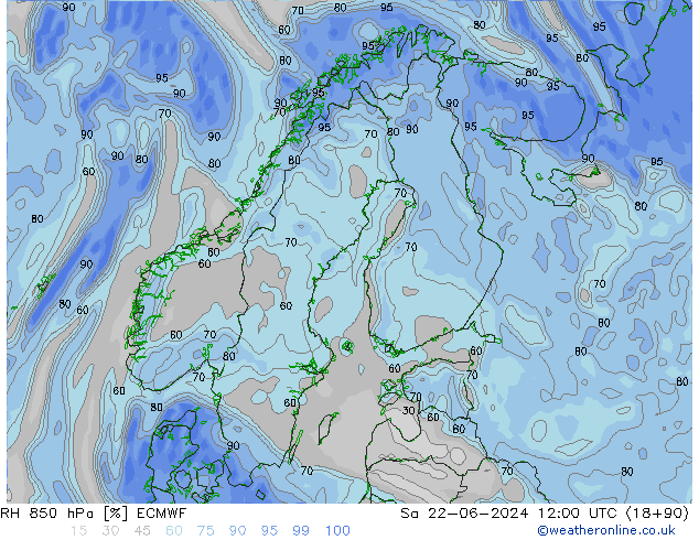 RH 850 гПа ECMWF сб 22.06.2024 12 UTC