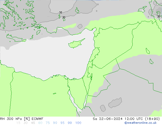 Humidité rel. 300 hPa ECMWF sam 22.06.2024 12 UTC