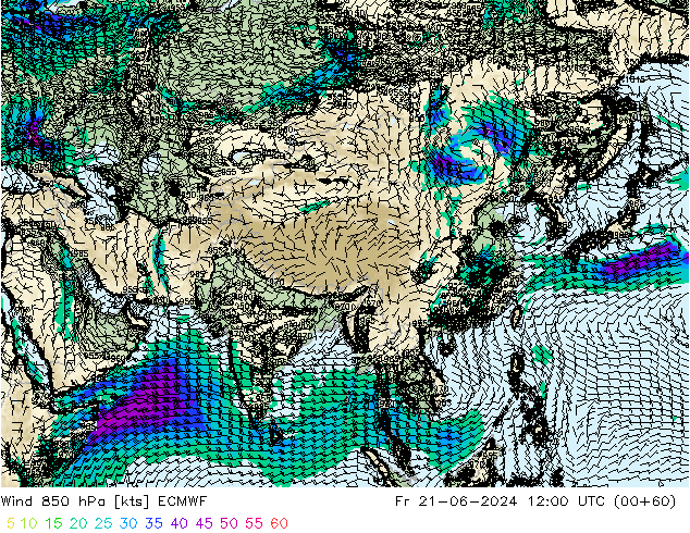 Wind 850 hPa ECMWF Fr 21.06.2024 12 UTC