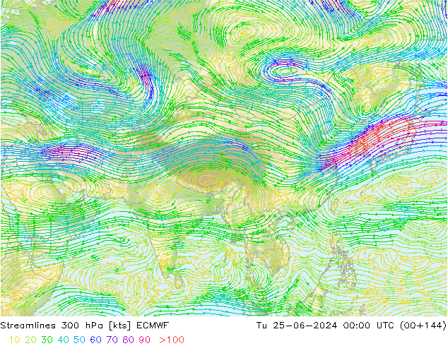 Rüzgar 300 hPa ECMWF Sa 25.06.2024 00 UTC