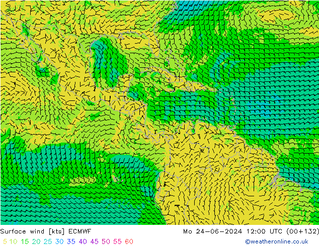wiatr 10 m ECMWF pon. 24.06.2024 12 UTC