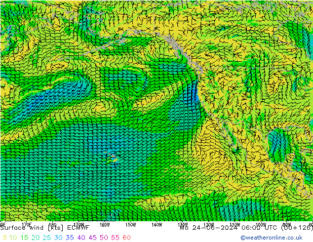 Wind 10 m ECMWF ma 24.06.2024 06 UTC