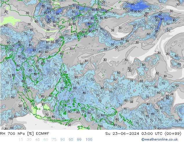 RH 700 hPa ECMWF Dom 23.06.2024 03 UTC