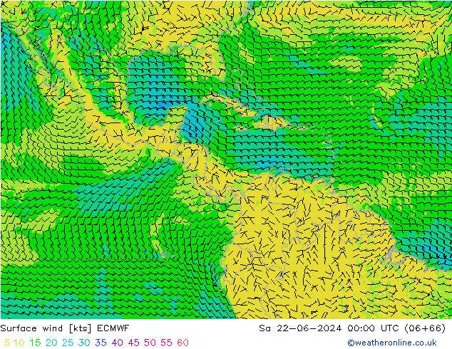 Surface wind ECMWF Sa 22.06.2024 00 UTC