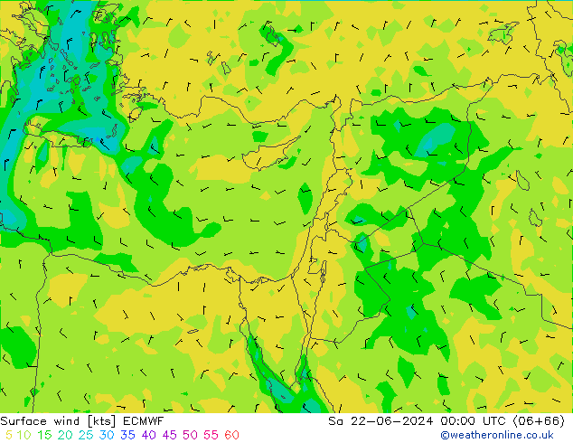 Bodenwind ECMWF Sa 22.06.2024 00 UTC