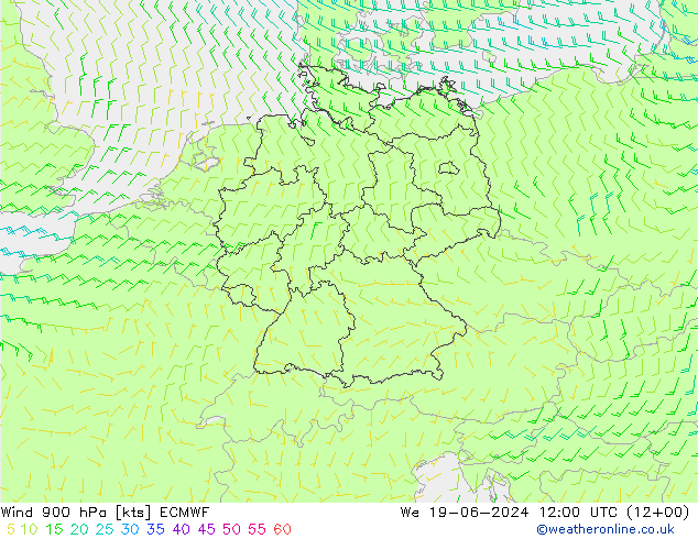 Wind 900 hPa ECMWF wo 19.06.2024 12 UTC