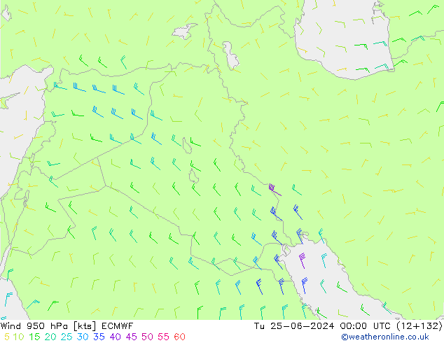 Wind 950 hPa ECMWF Di 25.06.2024 00 UTC