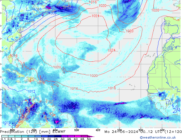 Yağış (12h) ECMWF Pzt 24.06.2024 12 UTC